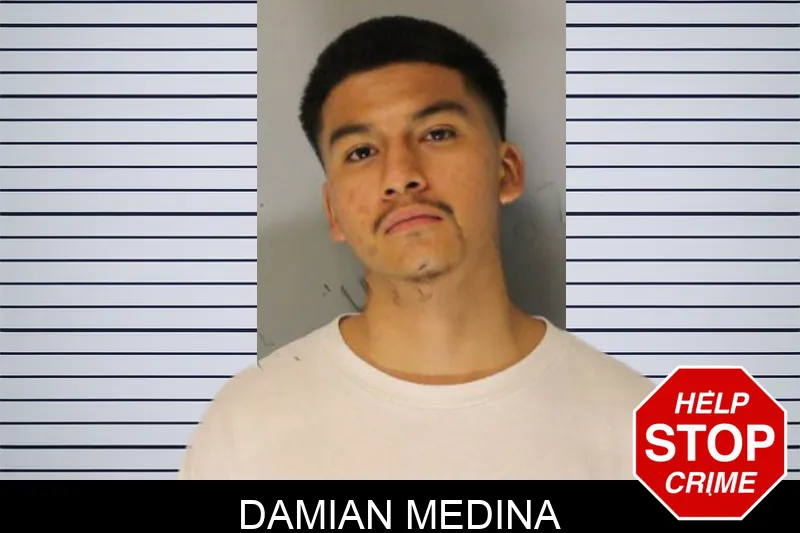 Damian Medina Mugshots