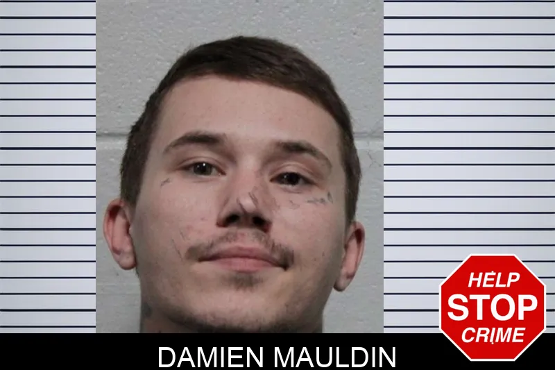 Damien Mauldin Mugshots