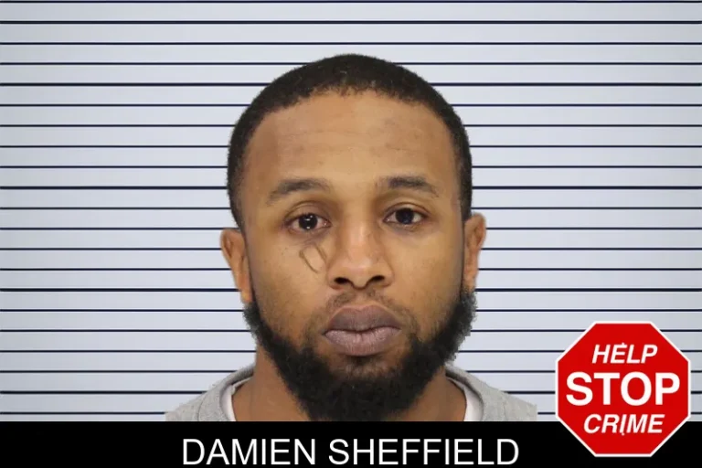 Damien Sheffield