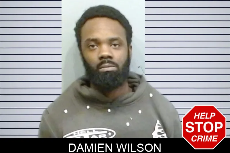 Damien Wilson mugshot