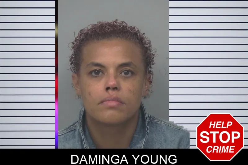 Daminga Young mugshot