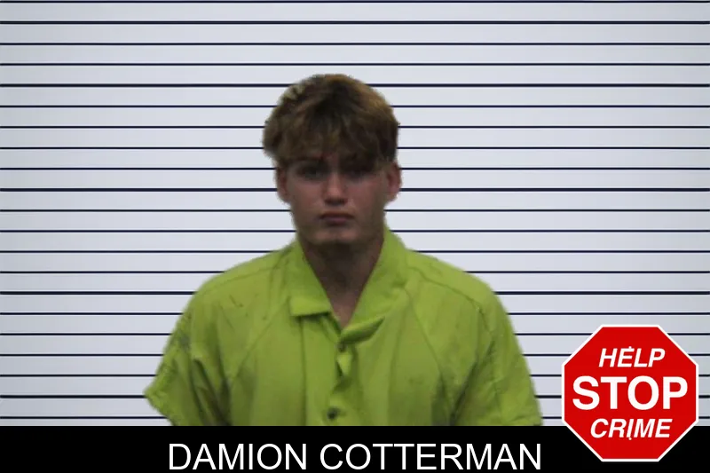 Damion Cotterman mugshot