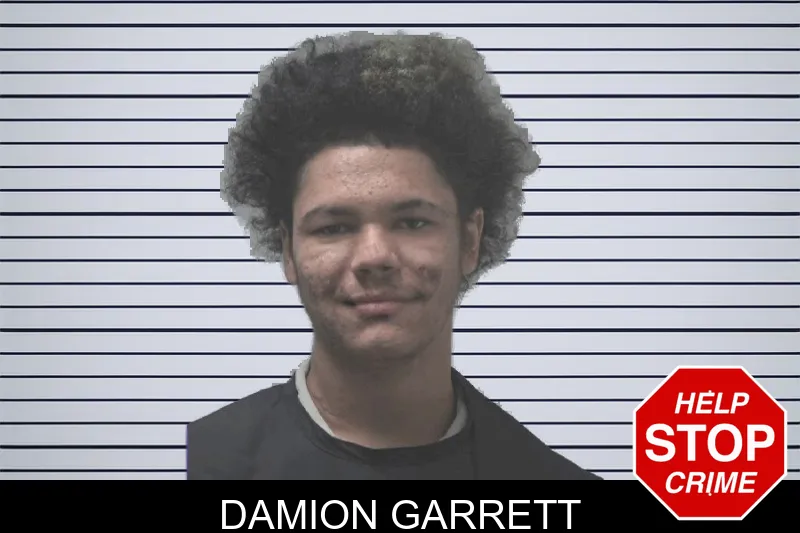 Damion Garrett Mugshots