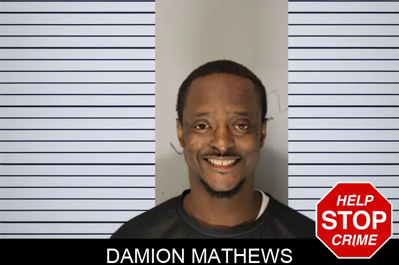 Damion Mathews Mugshots