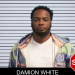 Damion White mugshot