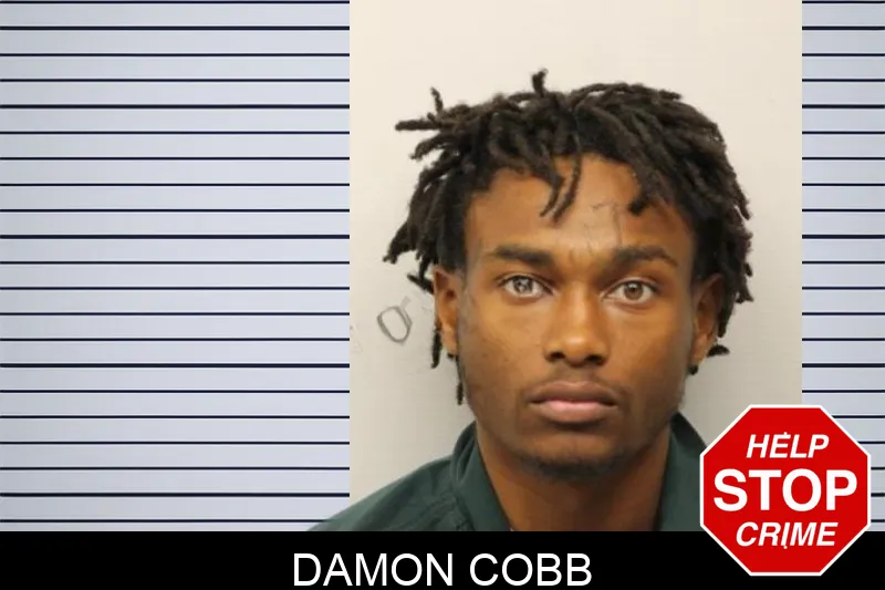 Damon Cobb mugshot – Chatham County , Georgia Damon Cobb mugshot