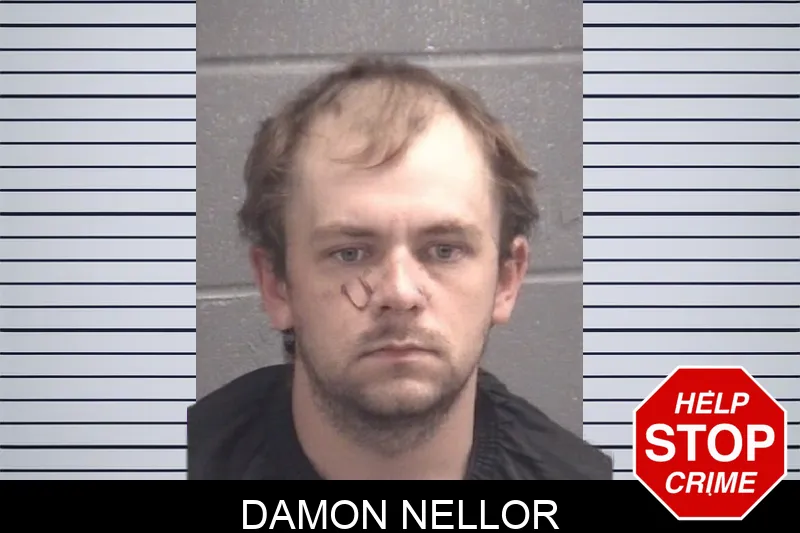 Damon Nellor Mugshots