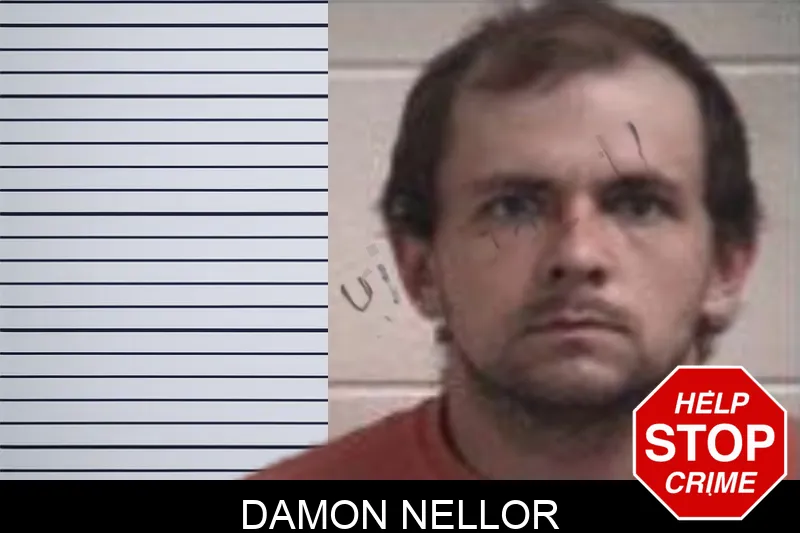 Damon Nellor mugshot
