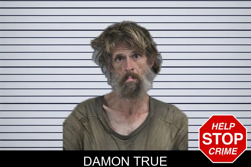 Damon True Mugshots