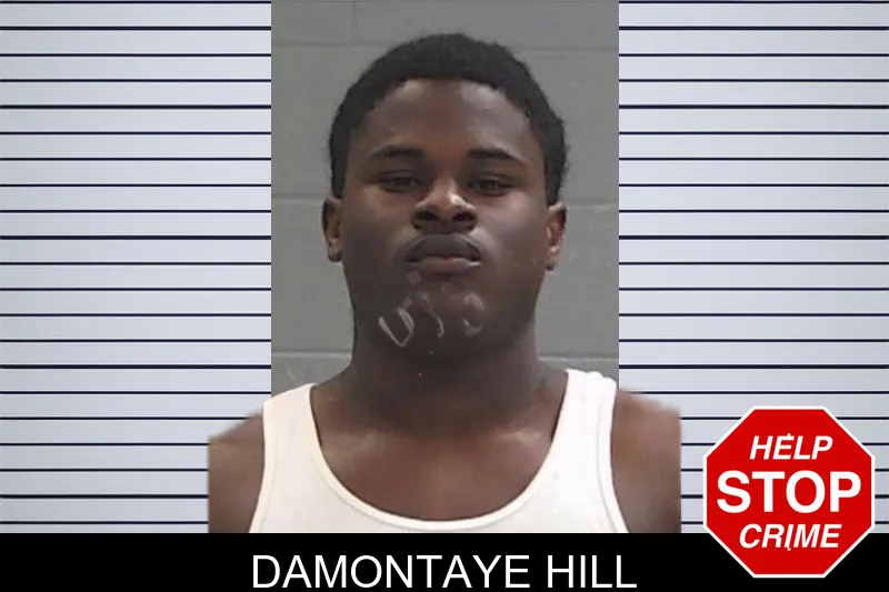 Damontaye Hill Mugshots