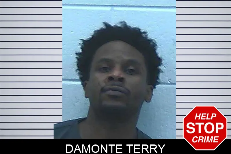 Damonte Terry Mugshots
