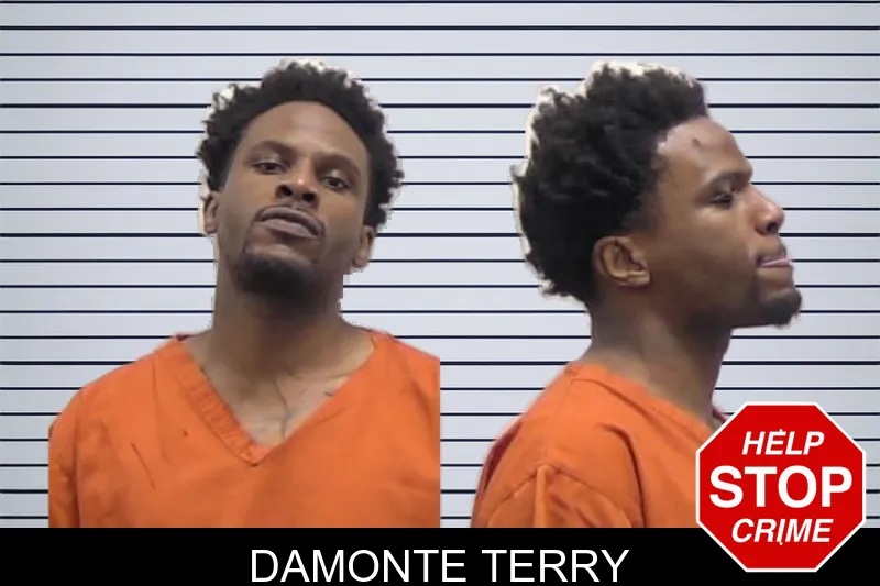 Damonte Terry Mugshots
