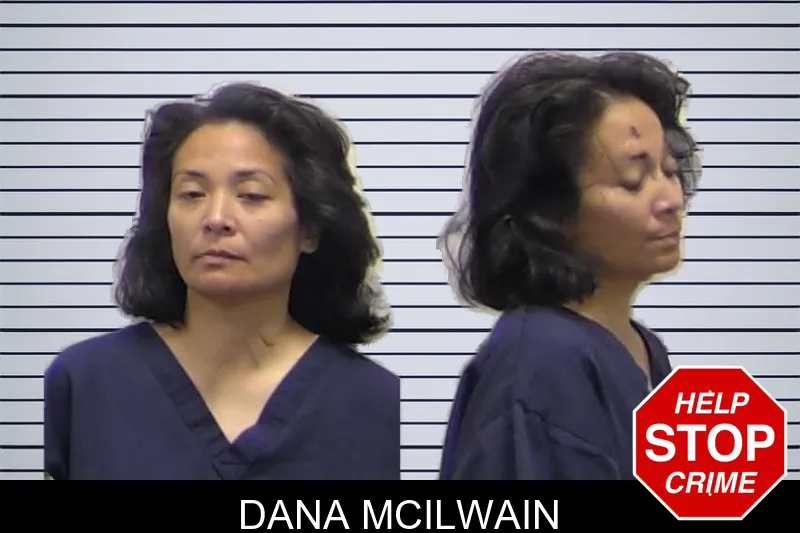 Dana McIlwain Mugshots
