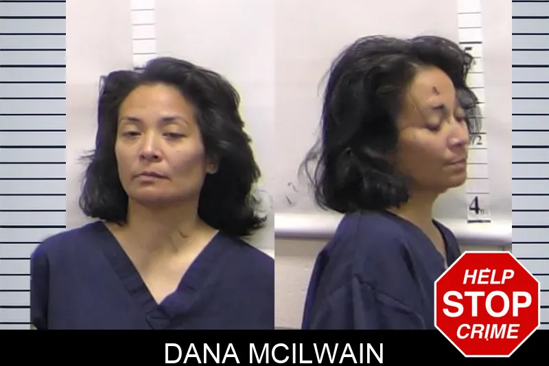 Dana McIlwain Mugshots