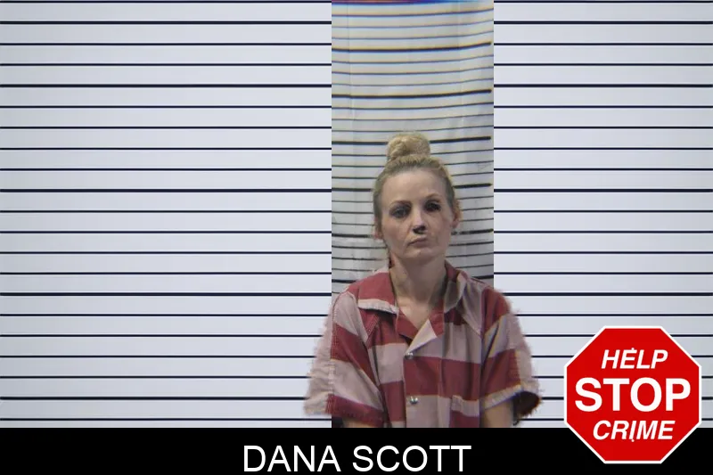 Dana Scott mugshot – Stephens County , Georgia Dana Scott mugshot