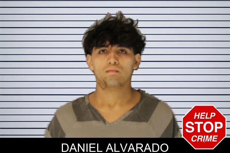 Daniel Alvarado Mugshots