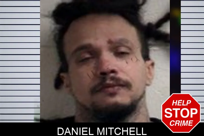 Daniel Mitchell Mugshots
