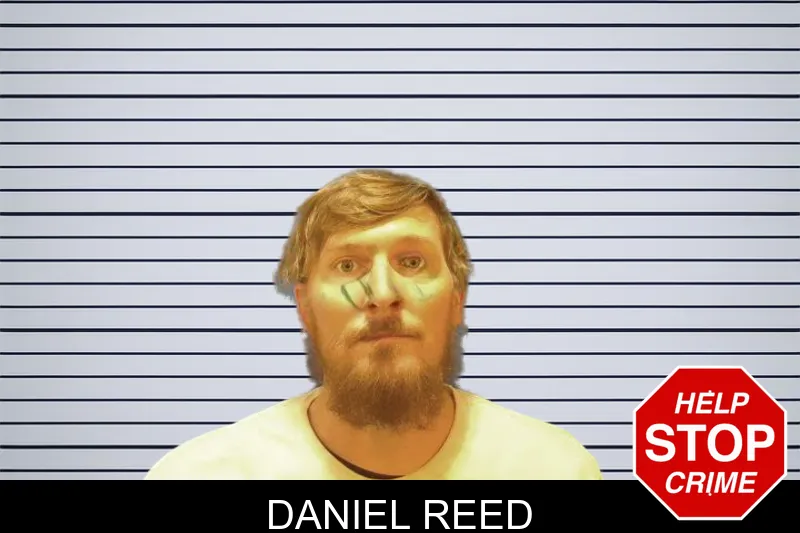 Daniel Reed mugshot