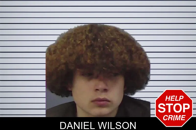 Daniel Wilson Mugshots