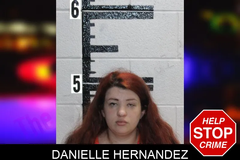 Danielle Hernandez Mugshots
