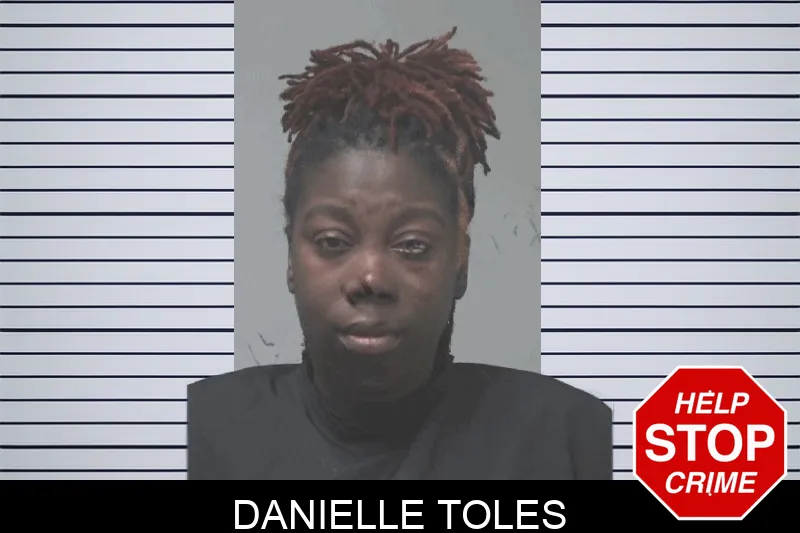 Danielle Toles Mugshots