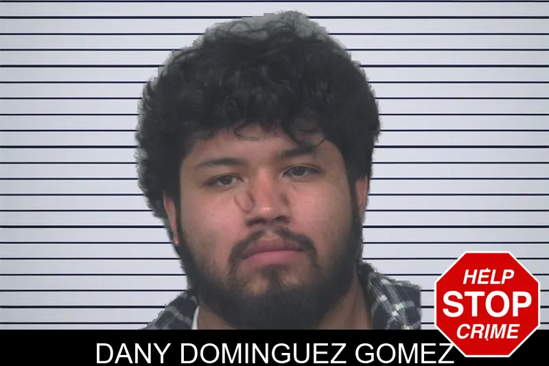 Dany Dominguez Gomez Mugshots