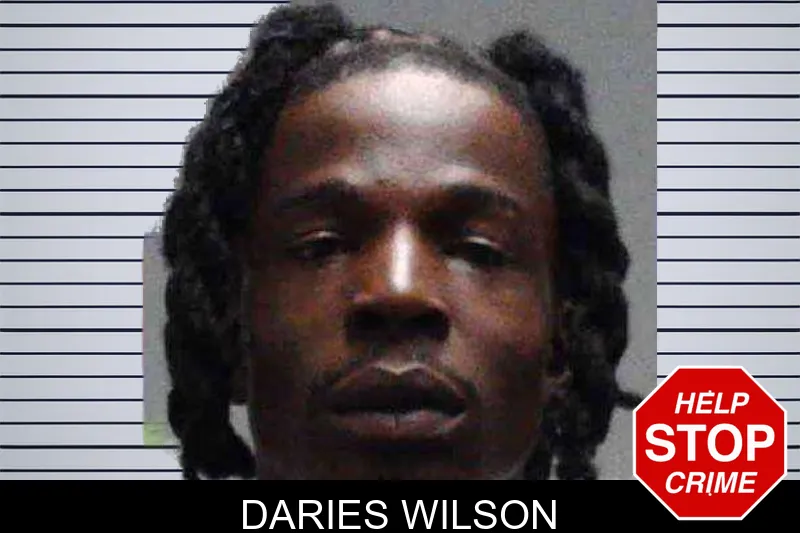Daries Wilson mugshot