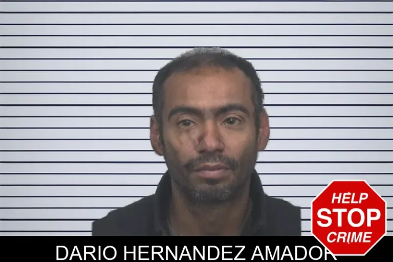 Dario Hernandez Amador