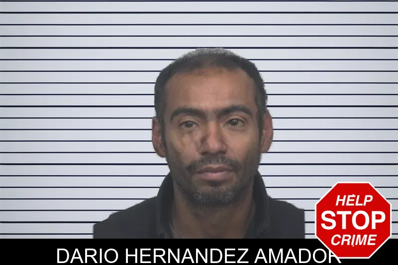 Dario Hernandez Amador Mugshots