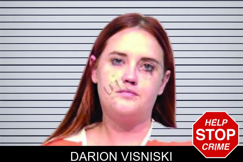 Darion Visniski mugshot