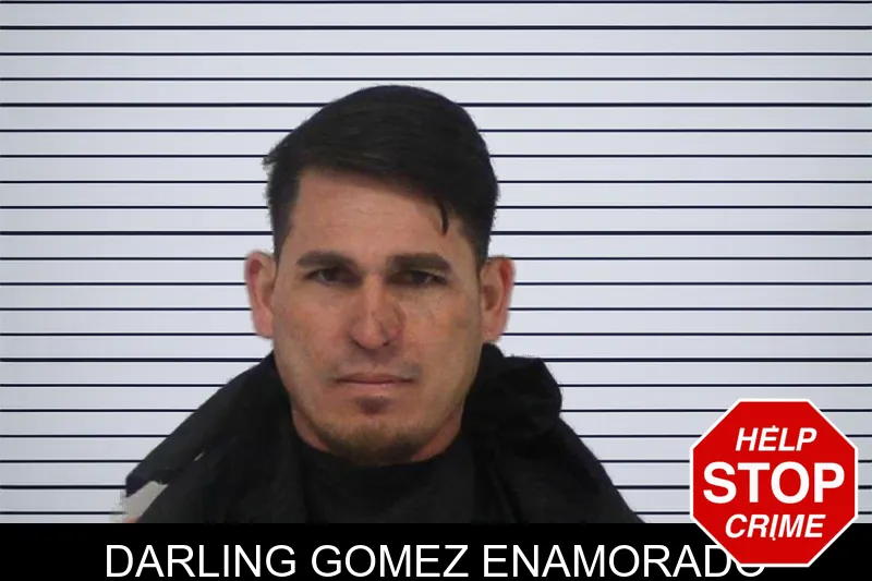 Darling Gomez Enamorado Mugshots