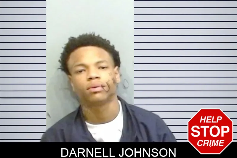 Darnell Johnson mugshot
