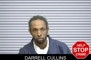 Darrell Cullins mugshot
