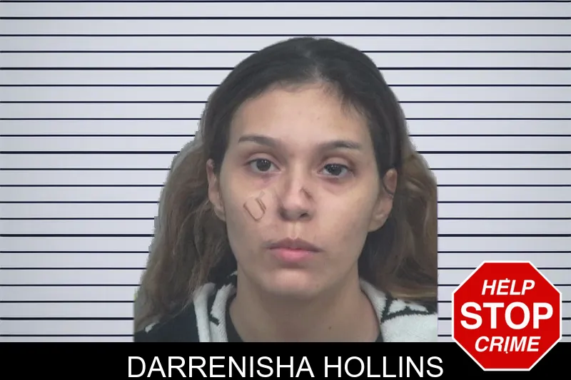 Darrenisha Hollins Mugshots