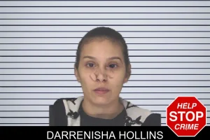 Darrenisha Hollins mugshot