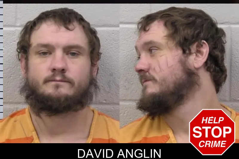 David Anglin Mugshots