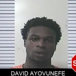 David Ayovunefe Mugshots