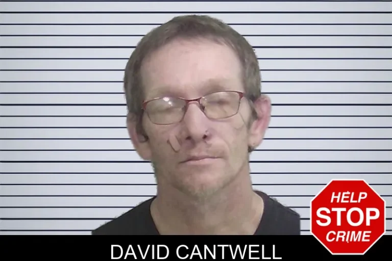 David Cantwell