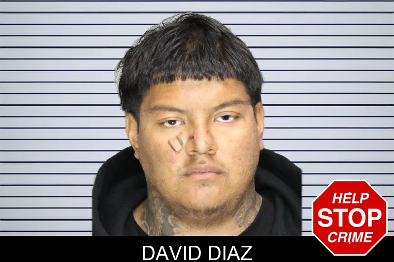 David Diaz Mugshots