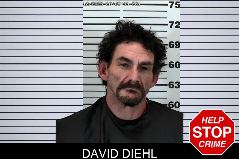 David Diehl Mugshots