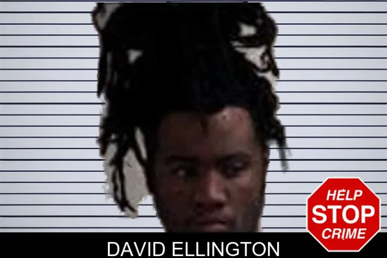 David Ellington