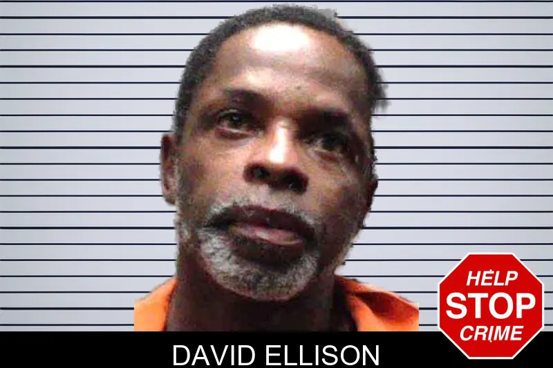 David Ellison mugshot – Burke County , Georgia David Ellison mugshot