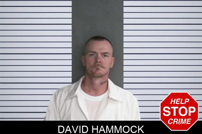 David Hammock
