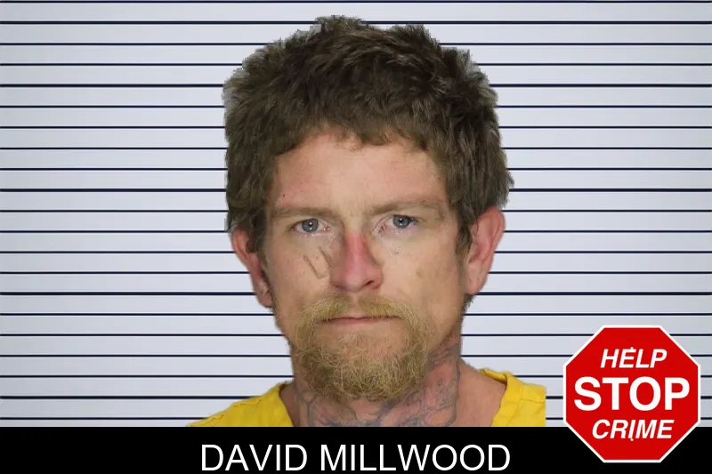 David Millwood Mugshots