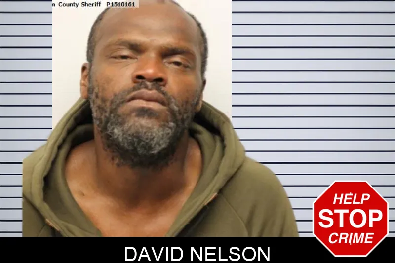 David Nelson Mugshots