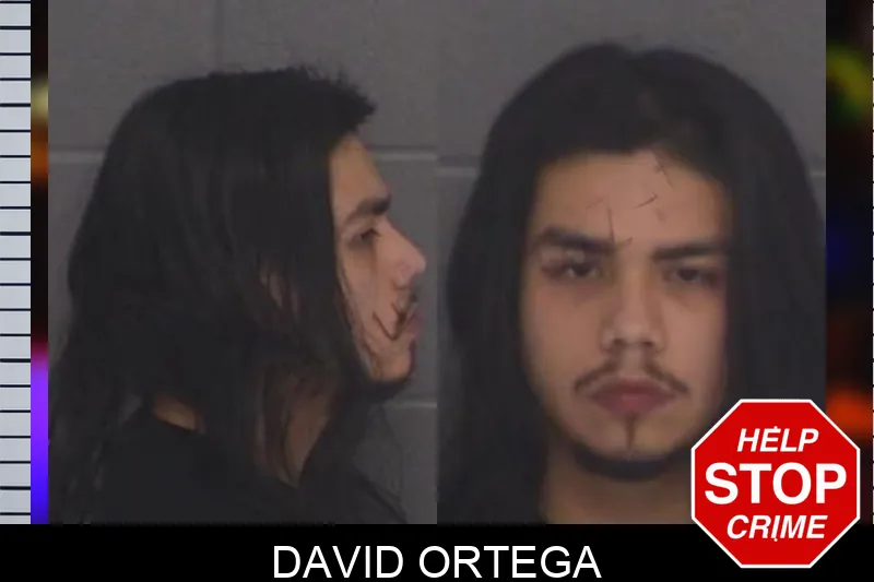 David Ortega Mugshots