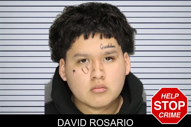 David Rosario Mugshots