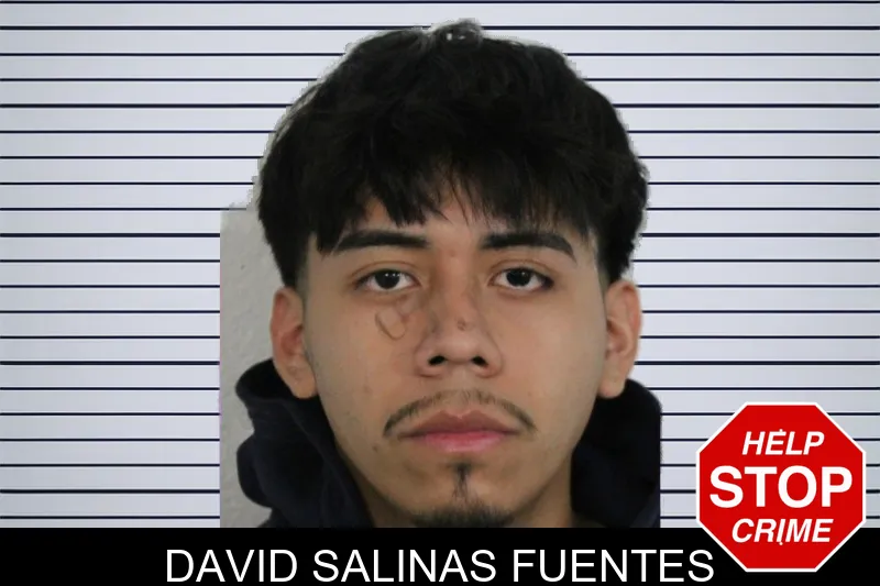 David Salinas Fuentes Mugshots