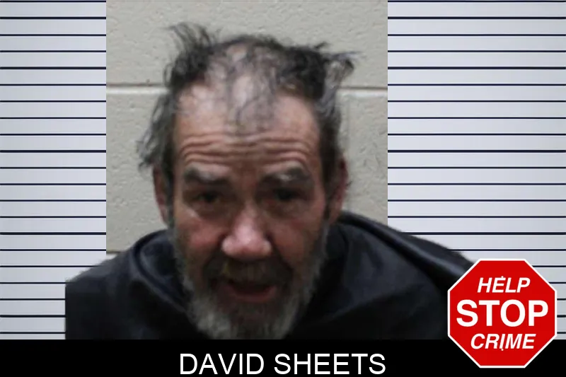 David Sheets mugshot – Haralson County , Georgia David Sheets mugshot