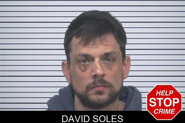 David Soles